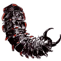 313-2000