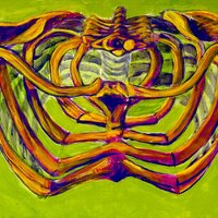 ribcage