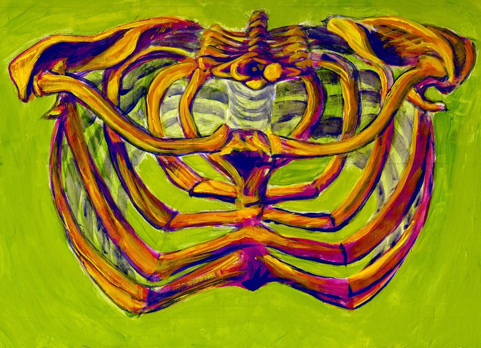 ribcage