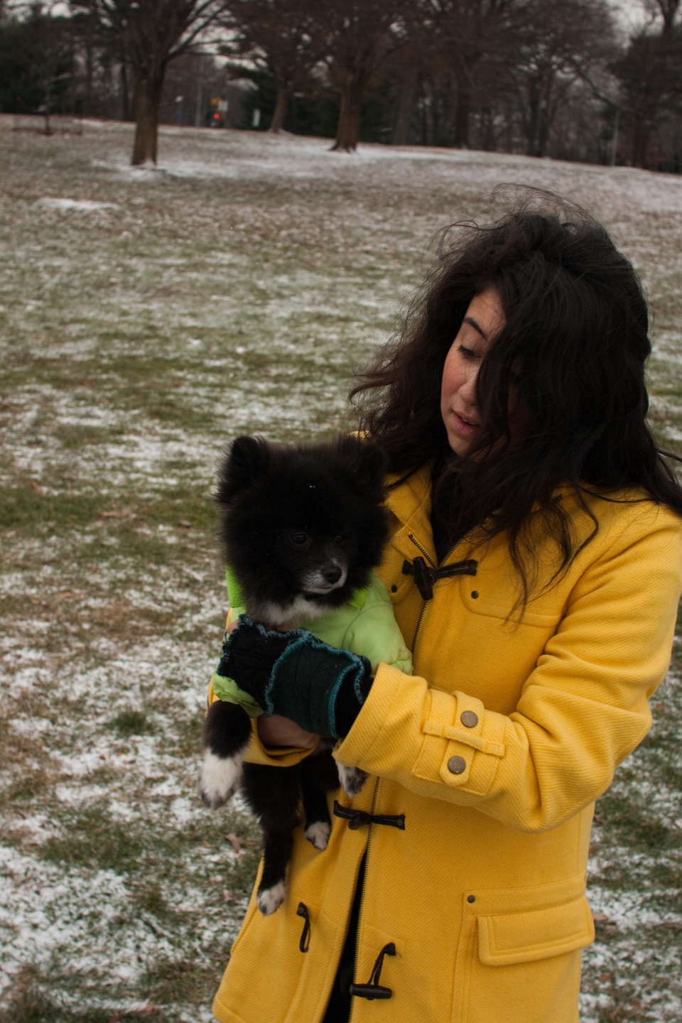 puppies-0256