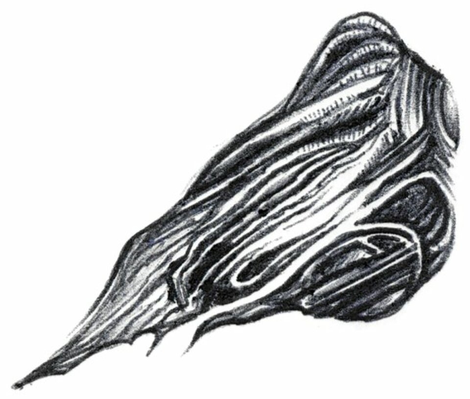 090-600