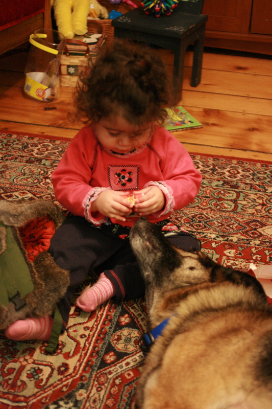 IMG_6564.JPG