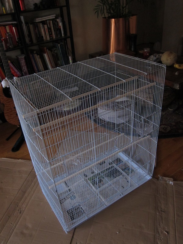 Finch mansion part 2