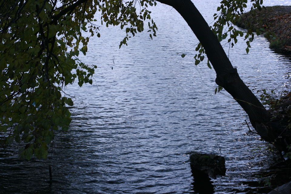 img_5603.jpg