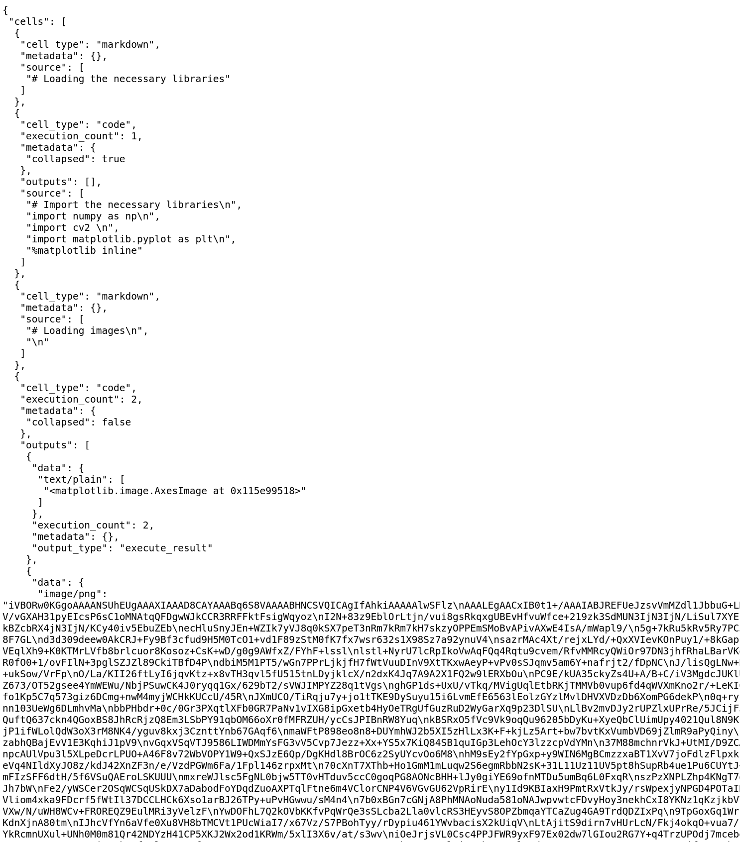 raw jupyter notebook