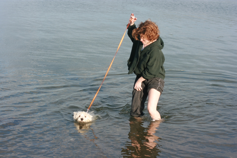 img_7448.jpg