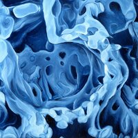 Phantom Capillaries