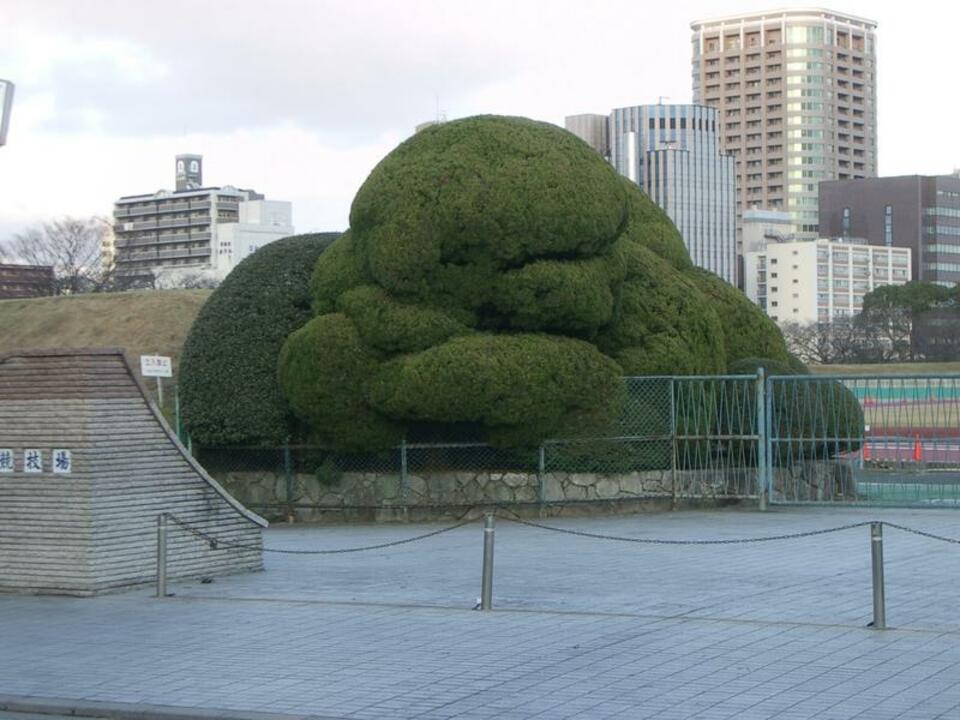 Japan 2003