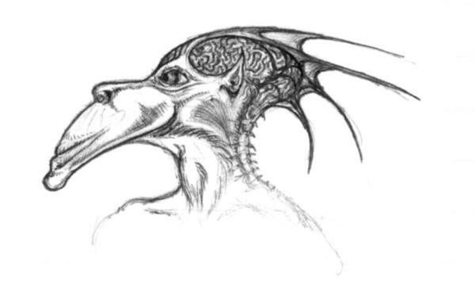 sketch030
