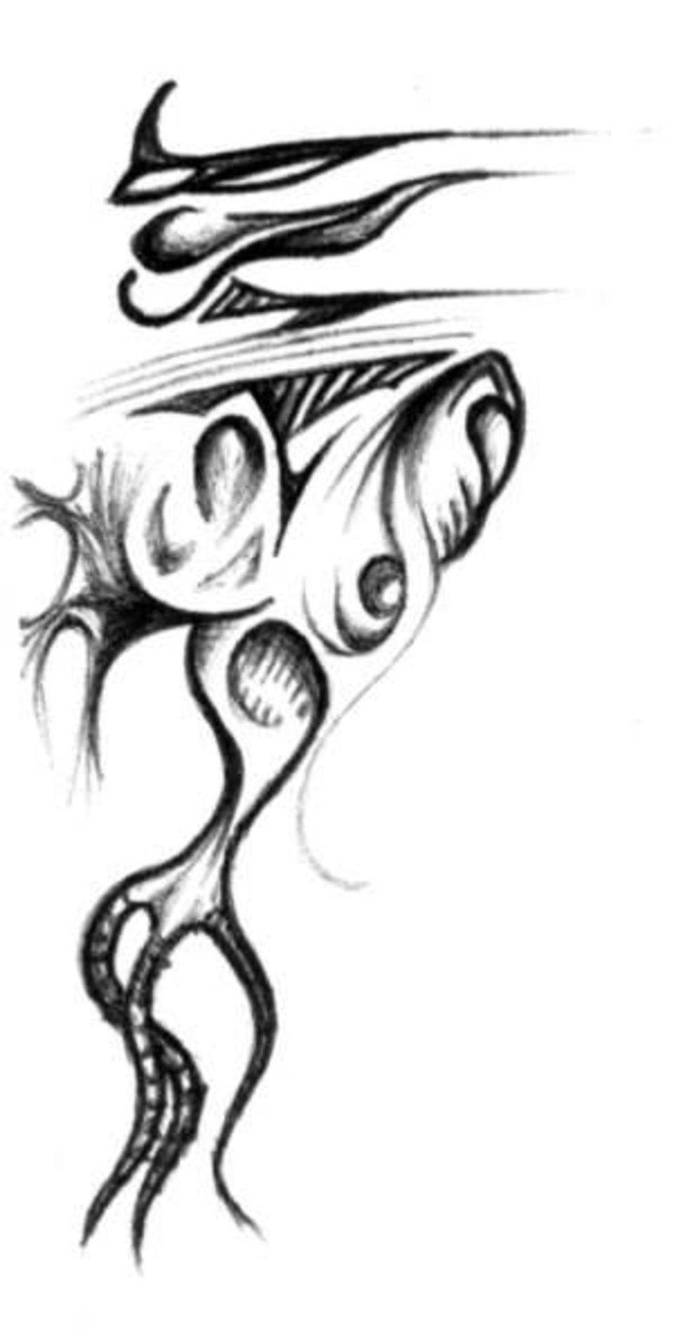 sketch013