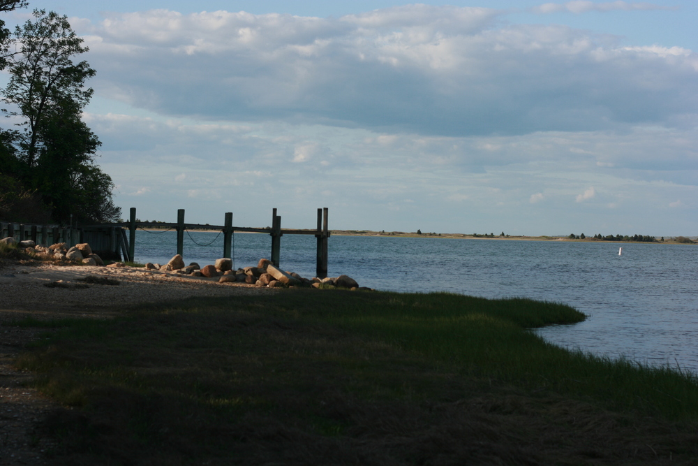 img_7423.jpg
