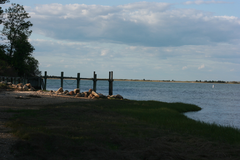 img_7423.jpg