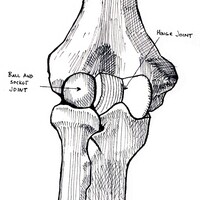 combined joint