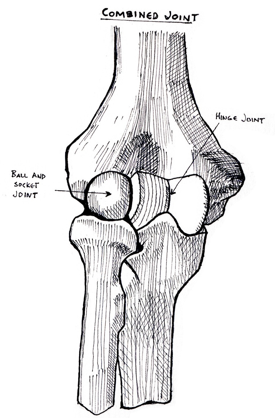 combined joint