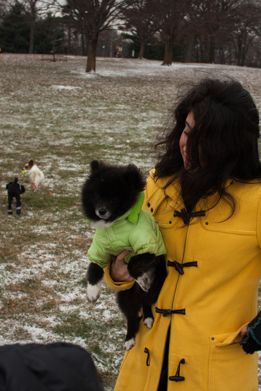 puppies-0257