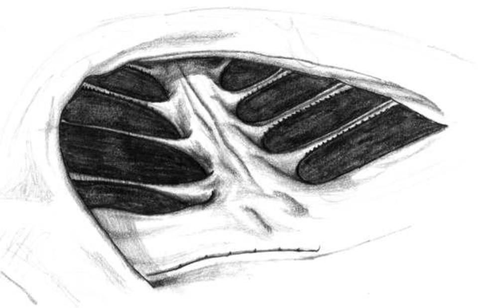 sketch030