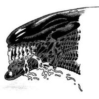 alien 2