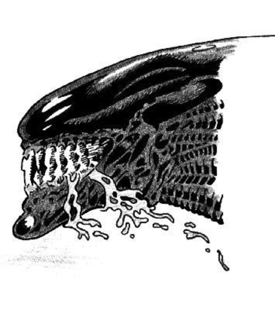 alien 2