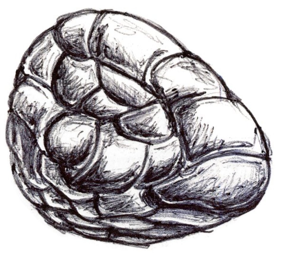 109-600