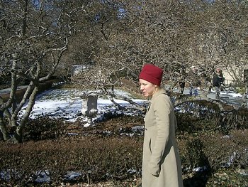 Brooklyn Botanical Gardens, February 2005