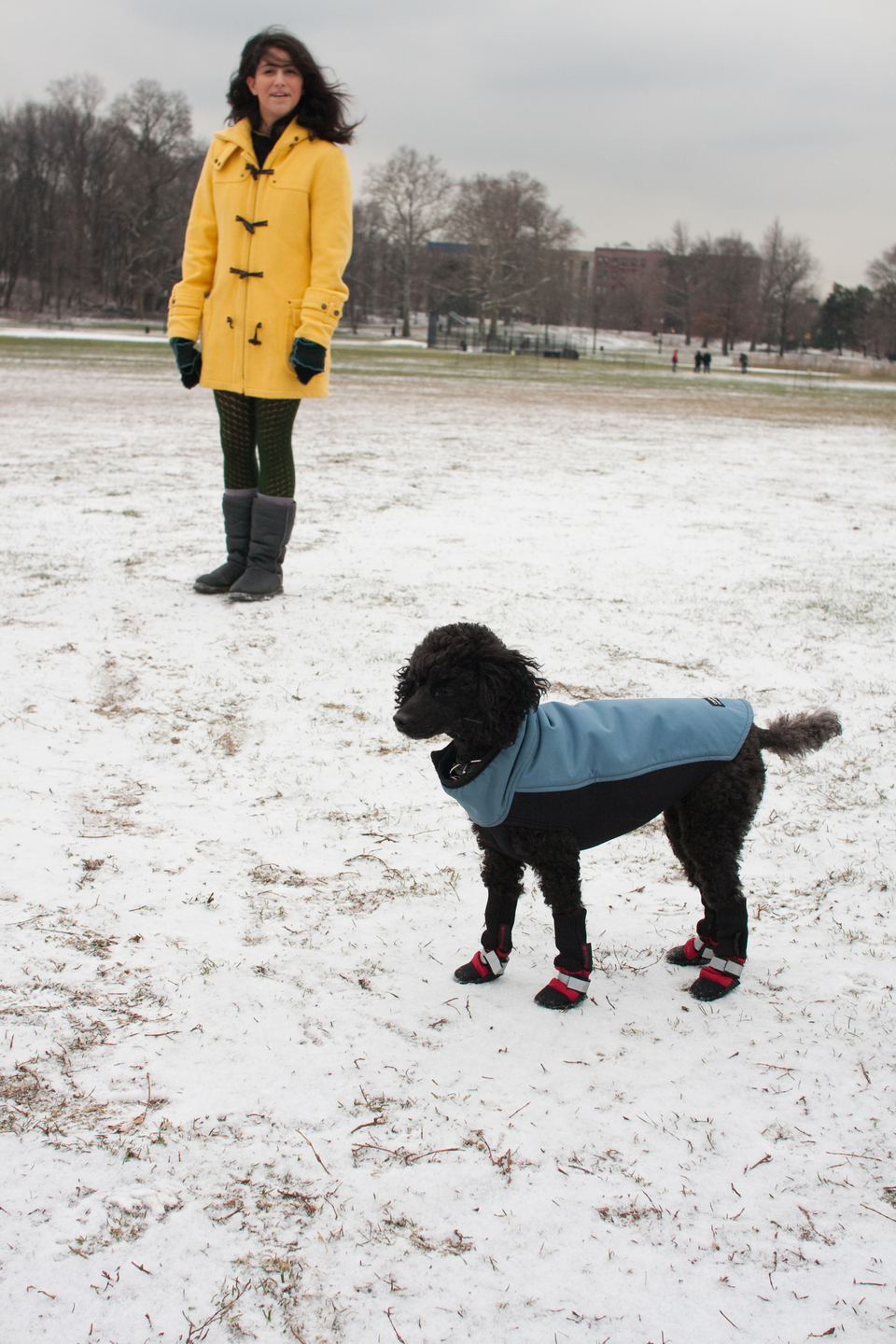 puppies-0251