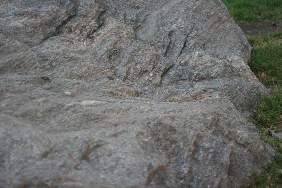 img_8042.jpg