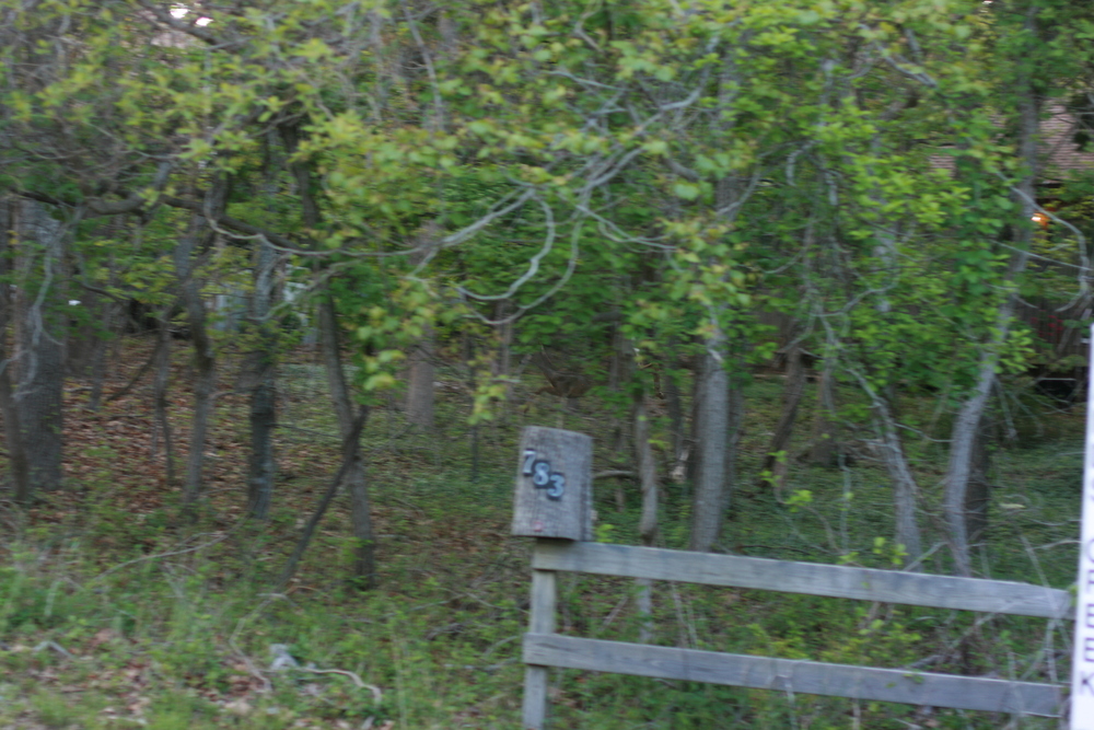 img_7477.jpg