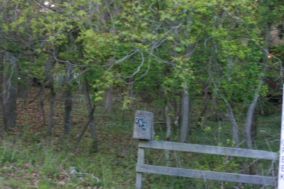 img_7477.jpg