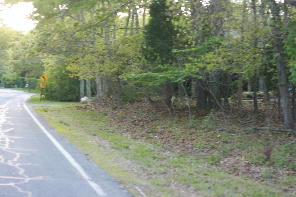 img_7480.jpg
