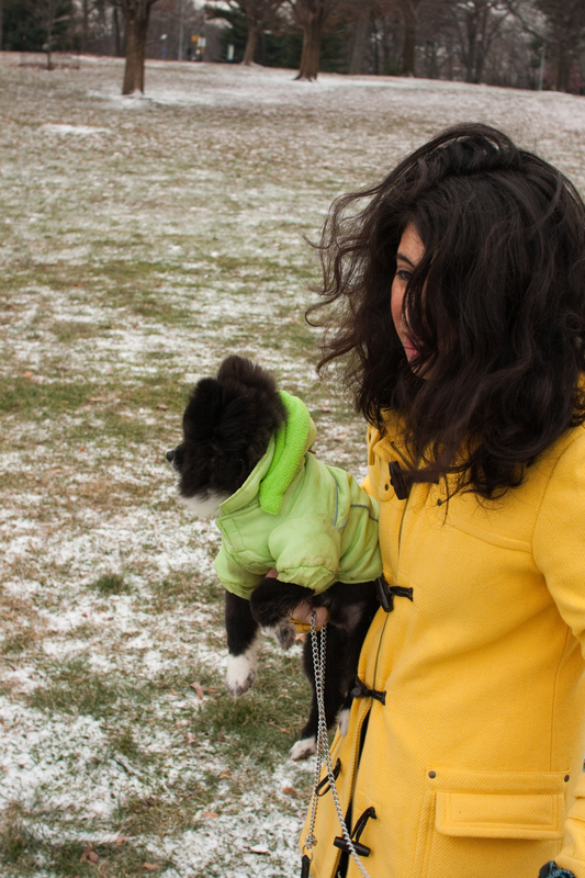 puppies-0259