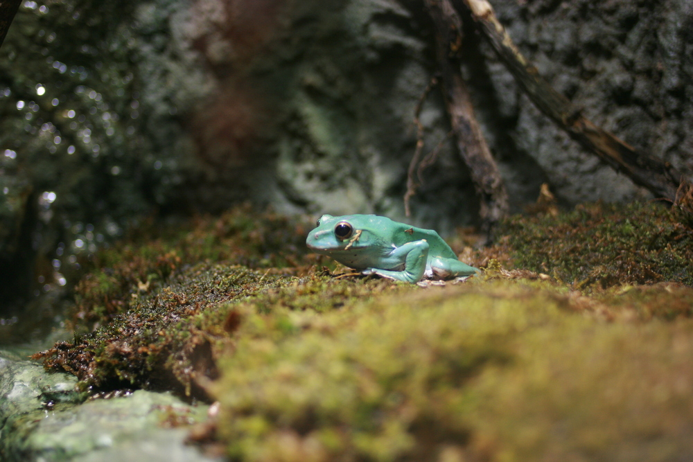 img_4933.jpg