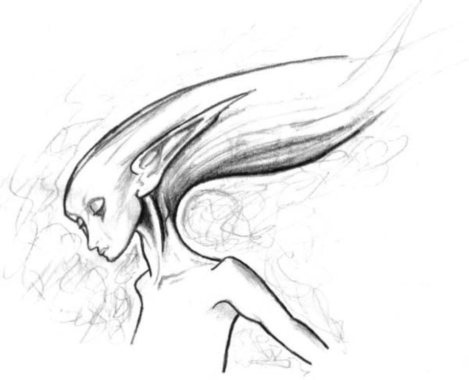 sketch013