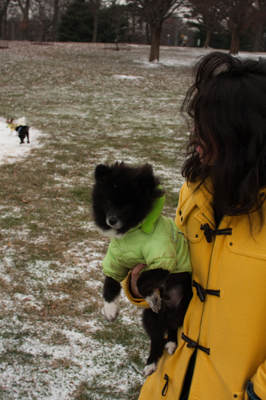puppies-0258