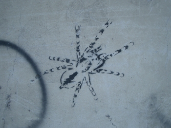 Buenos Aires 2005 - spider