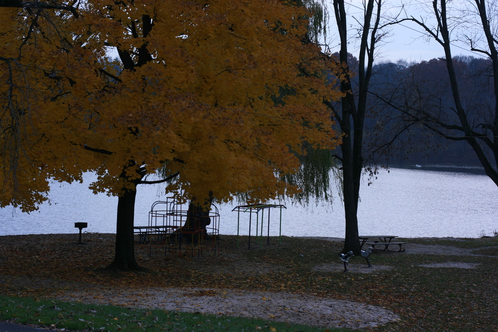 img_5601.jpg