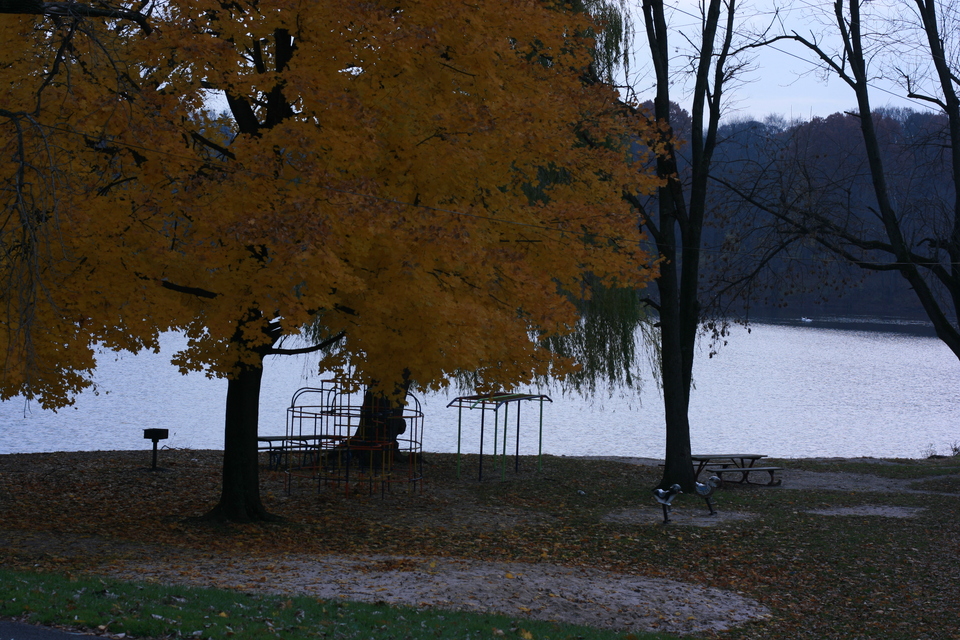 img_5601.jpg