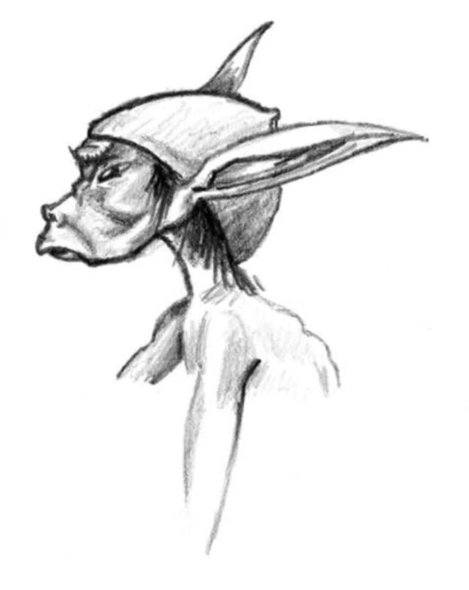 sketch013