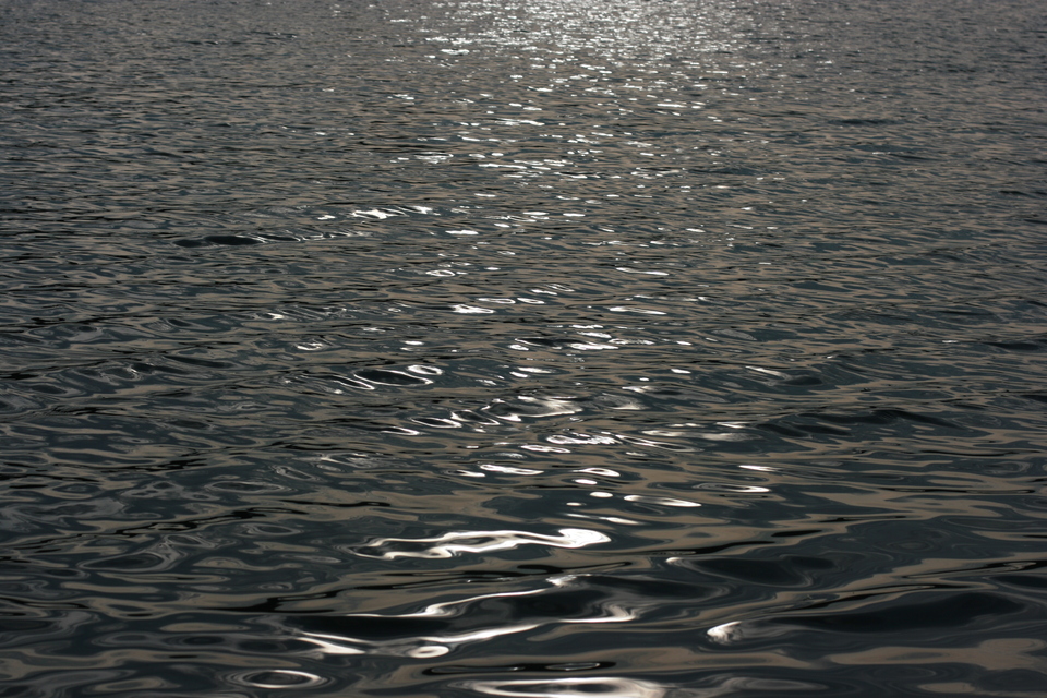 img_5623.jpg