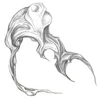 277-2