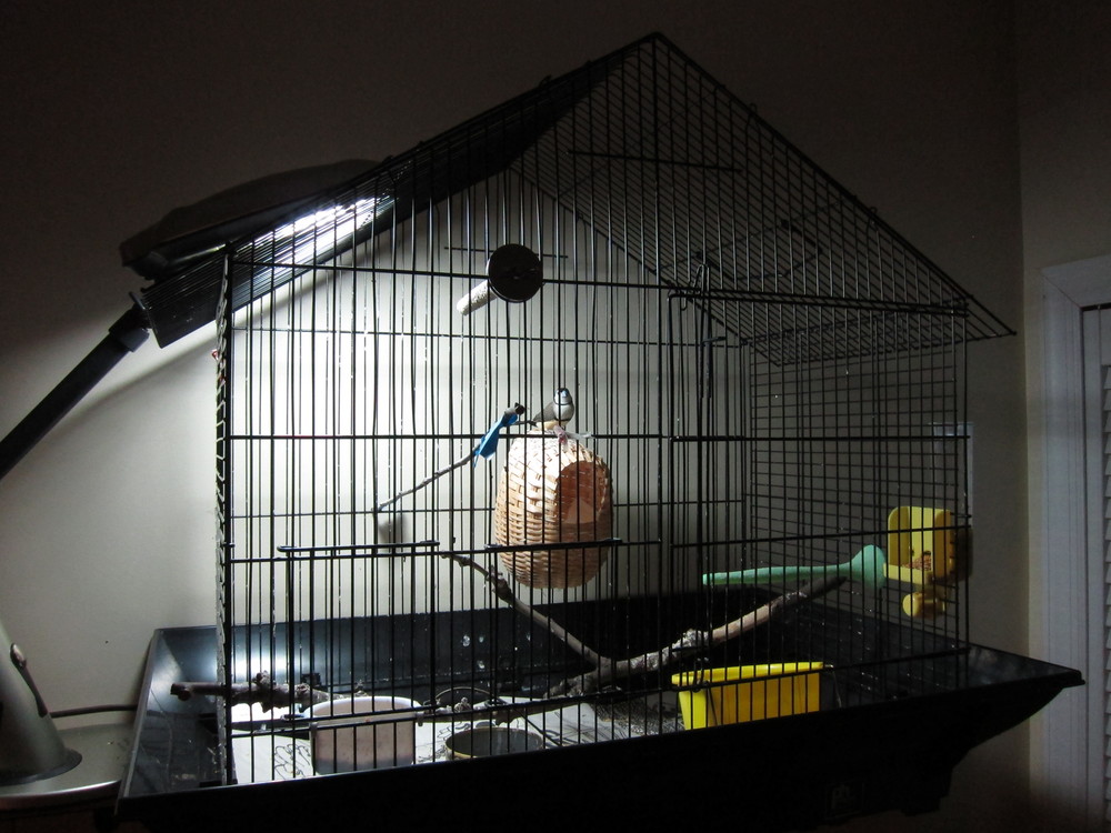 Finch mansion part 1