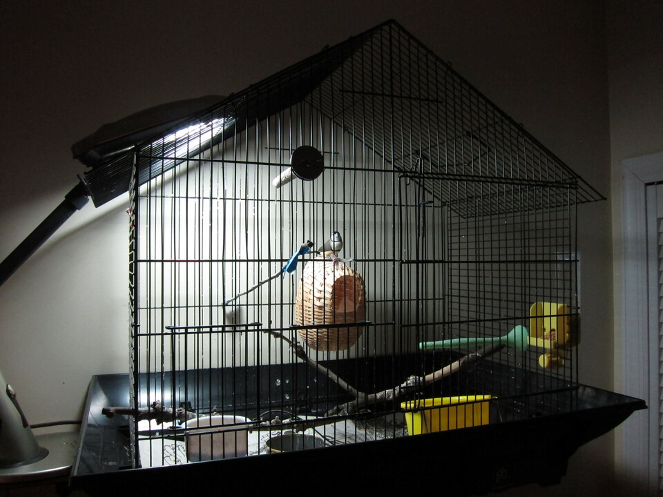Finch mansion part 1