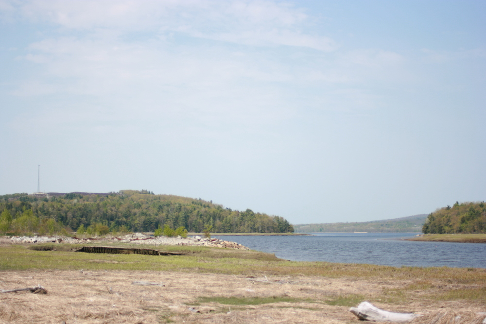 img_2838.jpg