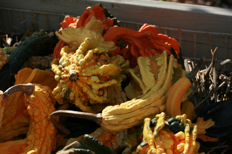 img_5545.jpg