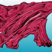 176 colored