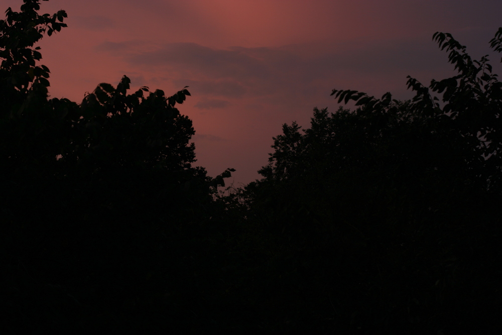 img_5375.jpg