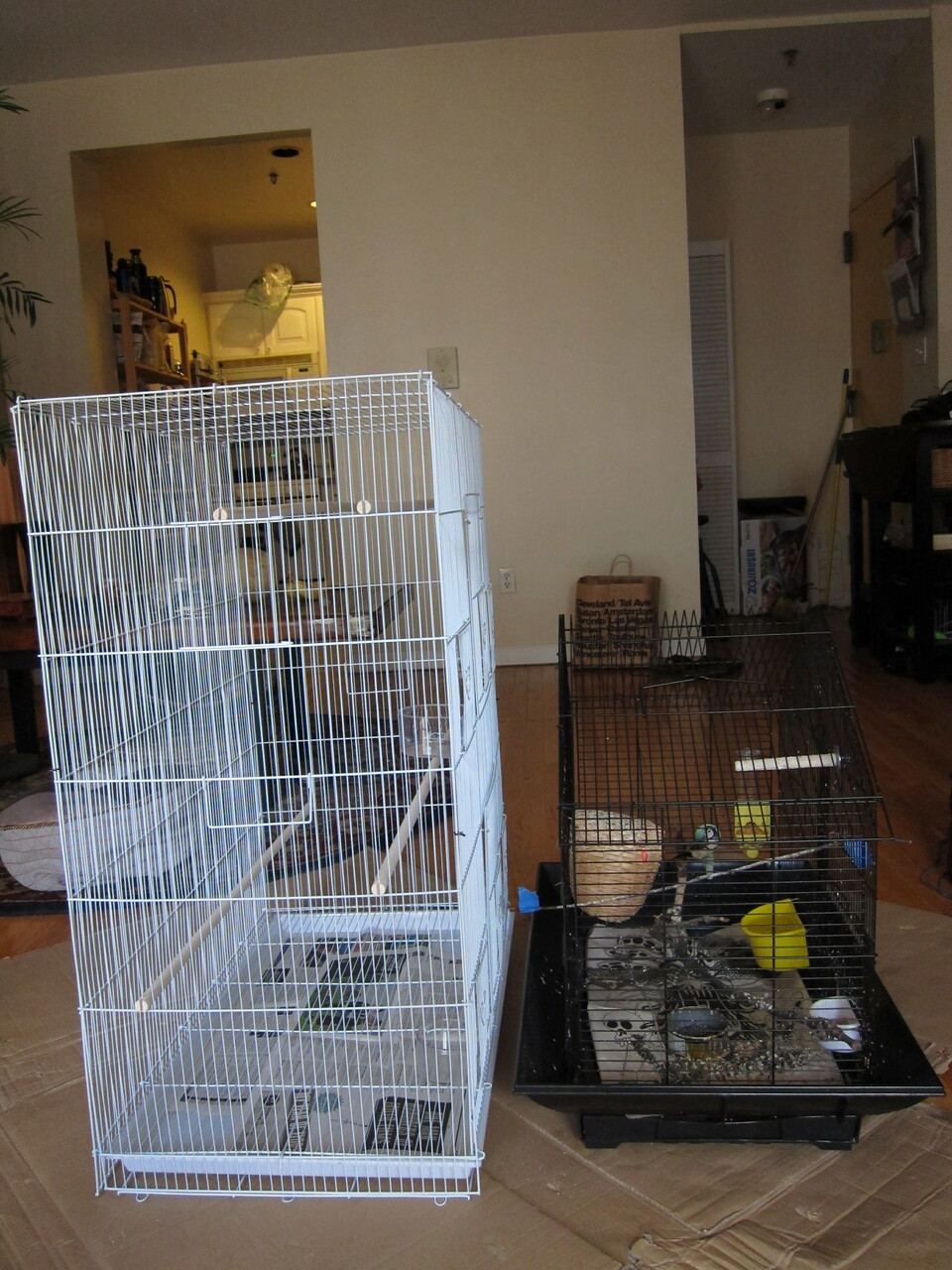 Finch mansion part 4