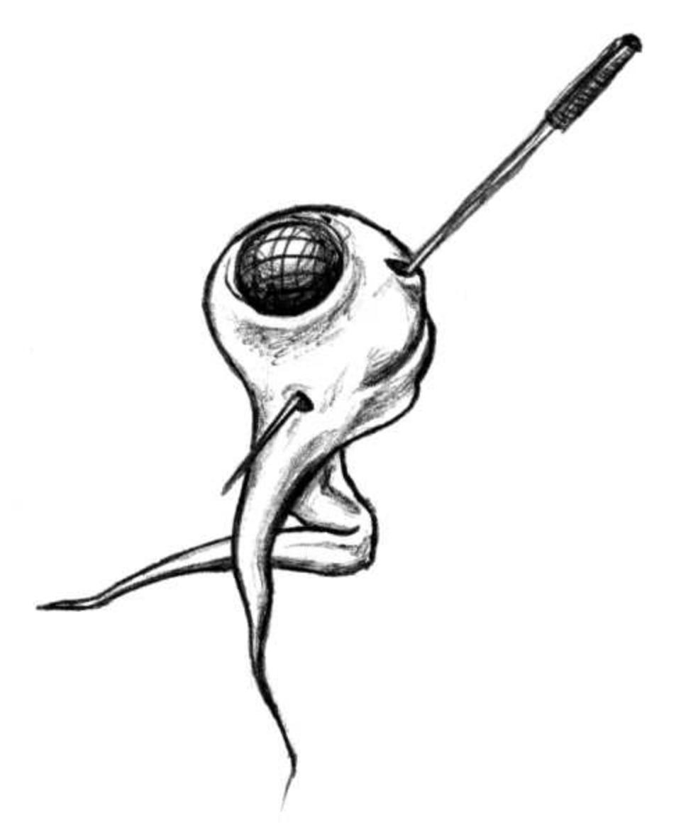 sketch013