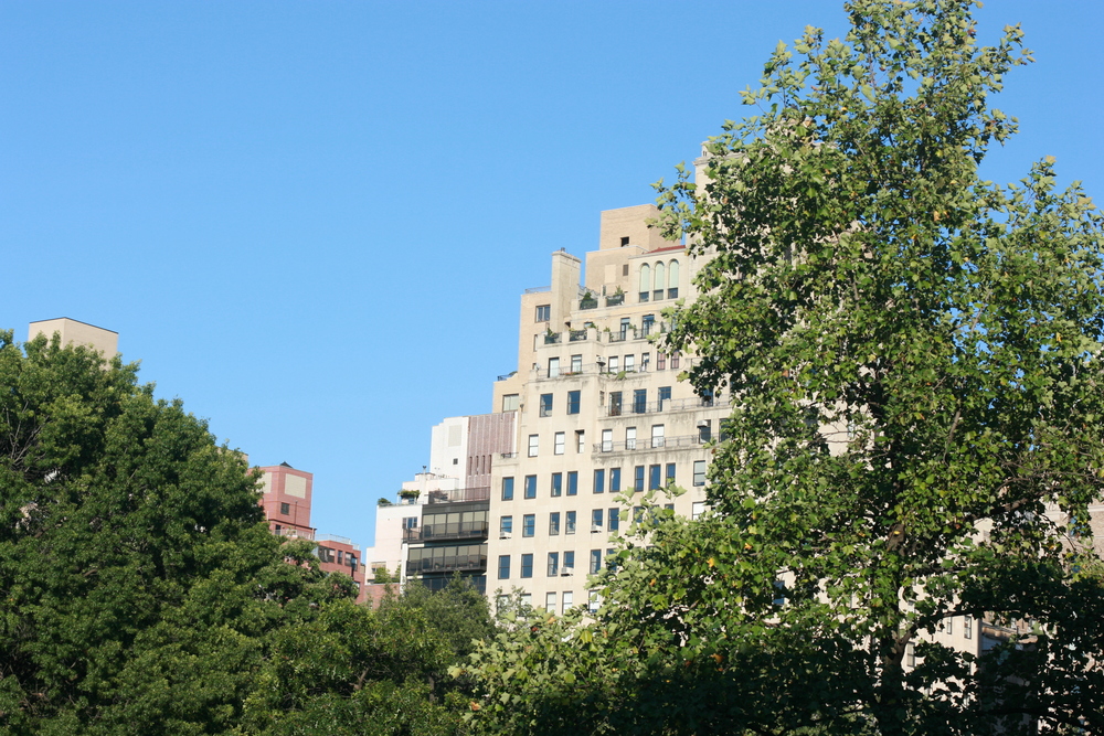 img_8009.jpg