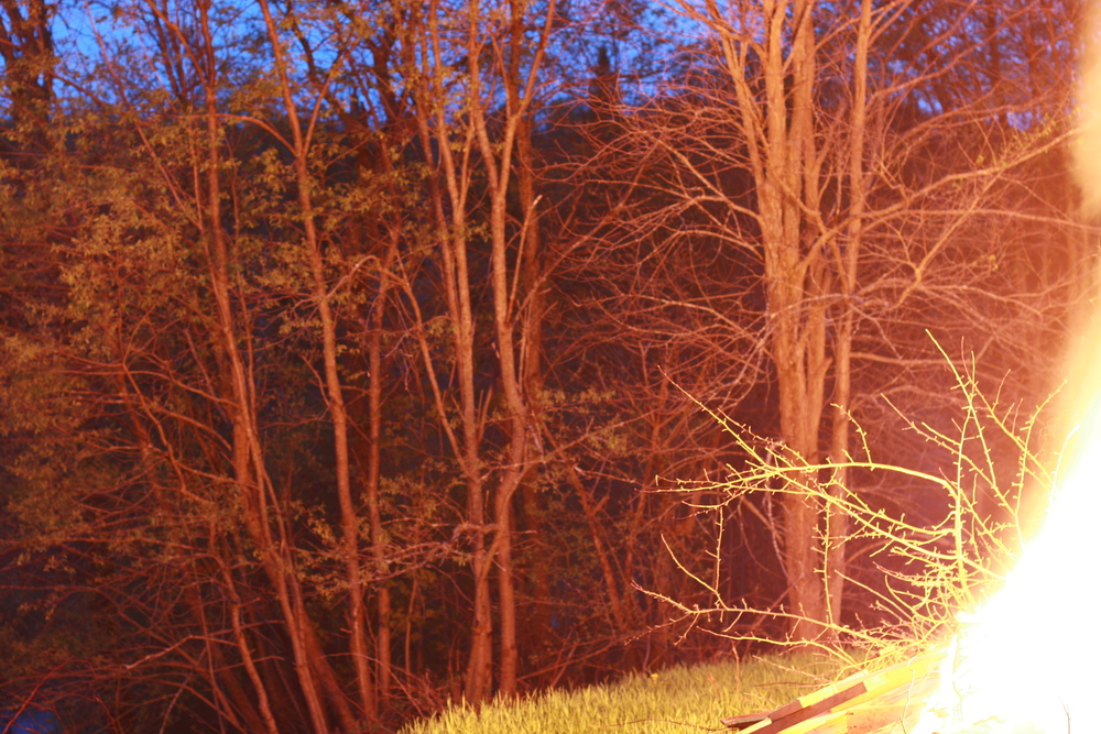 img_2660.jpg