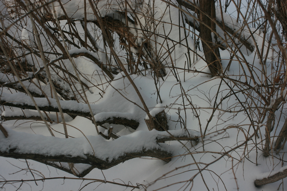 00027.jpg